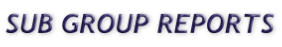 SUB GROUP REPORTS